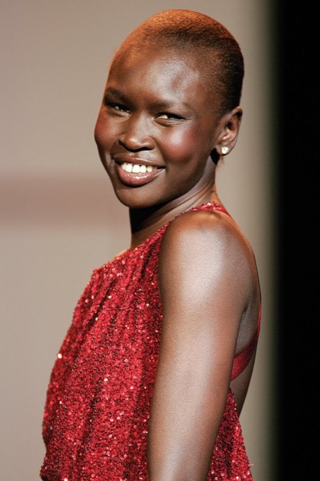 Portrait of Alek Wek