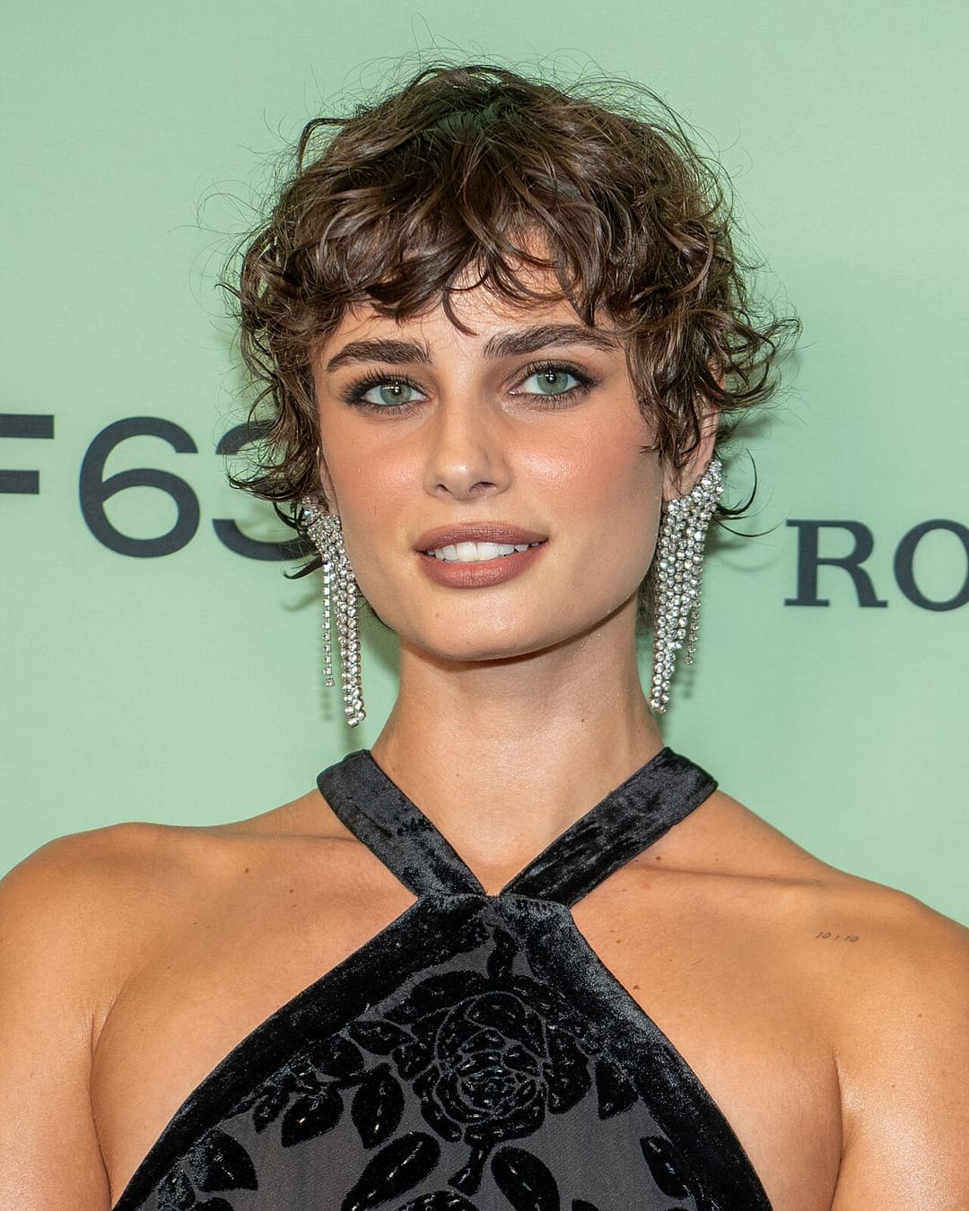 Taylor Hill — Cast Index ranked model, portrait