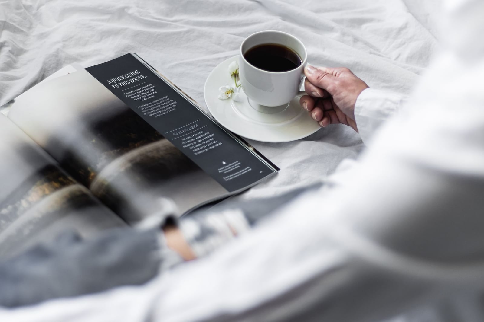 Weekend reading (editorial scene)